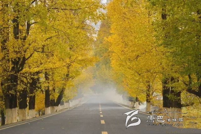 康定新都橋，有一條黃金大道通往夢中的天堂