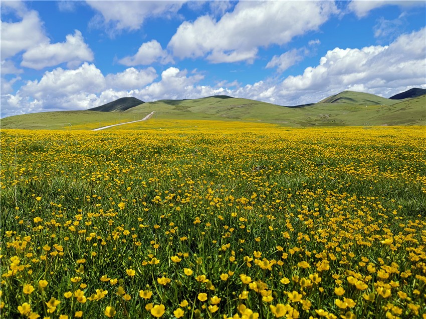 祝?；ê? 任剛.jpg