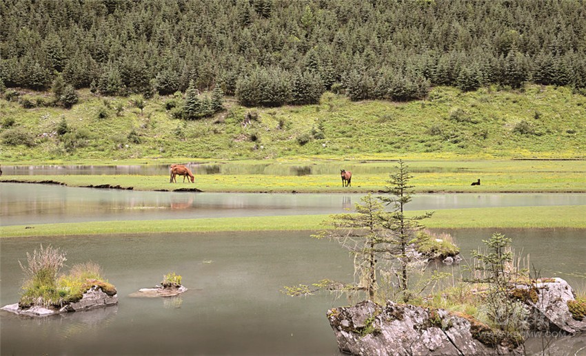 去甘孜 邂逅絕美湖泊海子！